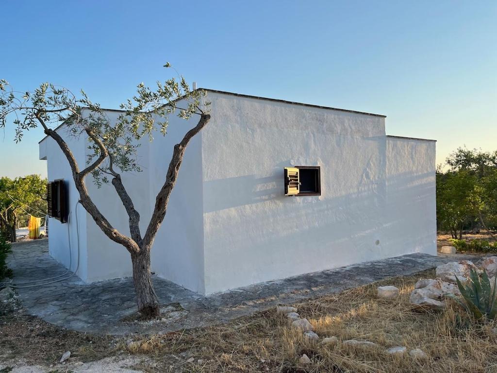 Casa Giuliveto - Charmantes Ferienhaus Mit Privatpool In Olivenhain Остуни Экстерьер фото